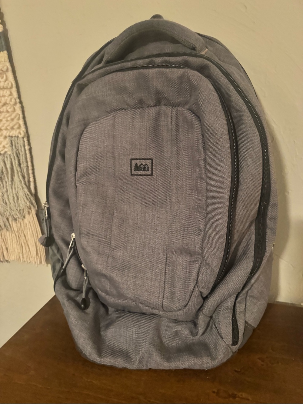 REI Gray Men's Daypack with Multiple Pockets